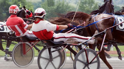 harness racing